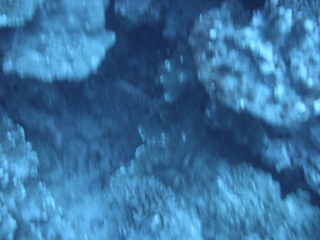DSC00070