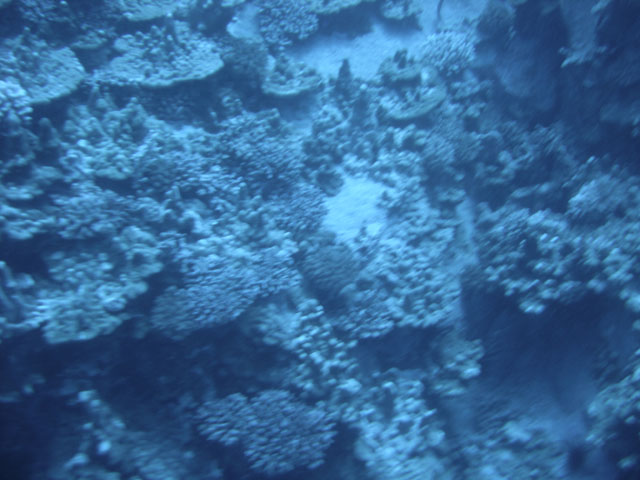 DSC00073