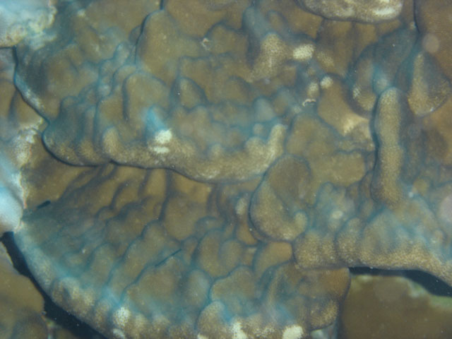 DSC00075