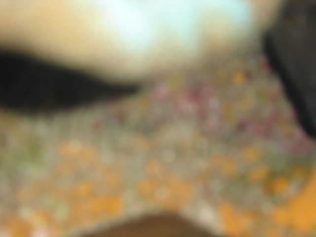 DSC00076