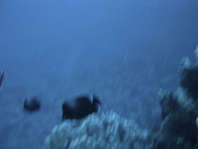 DSC00038