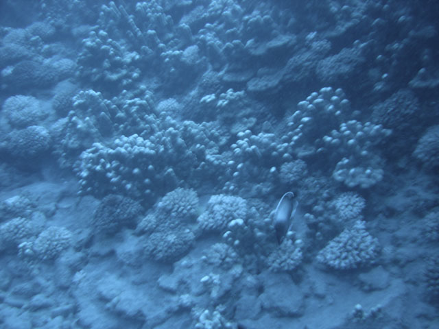 DSC00039