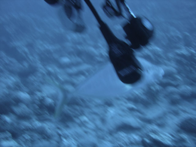 DSC00040