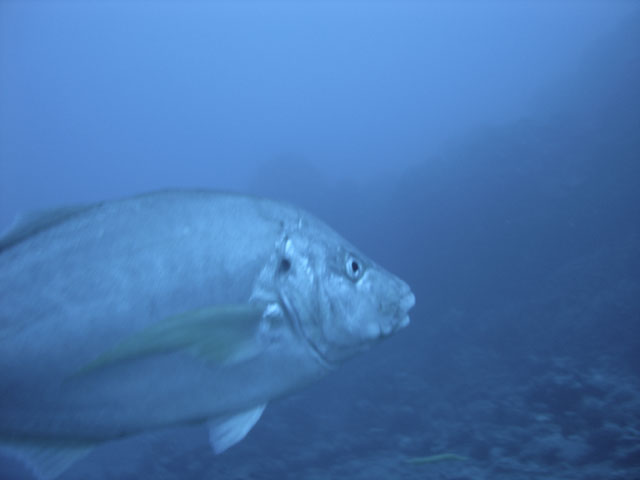 DSC00041