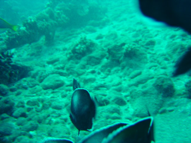 DSC00044