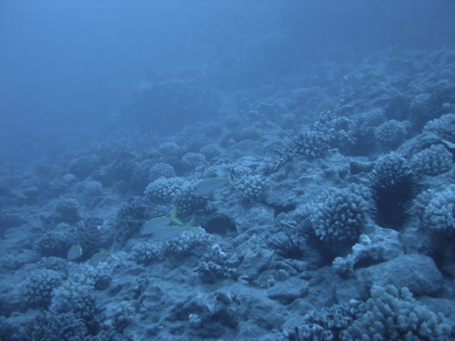 DSC00046