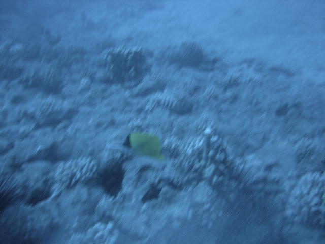 DSC00047