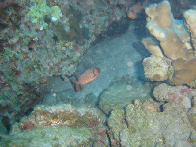 DSC00050