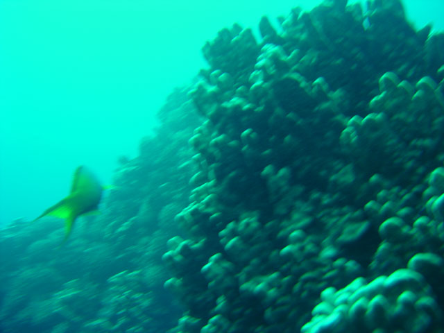 DSC00051