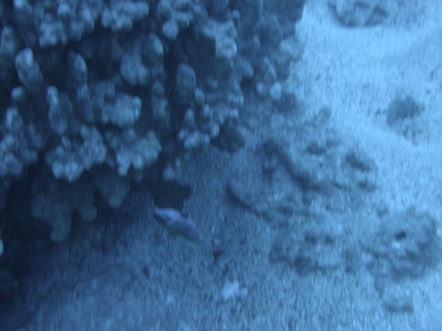 DSC00053