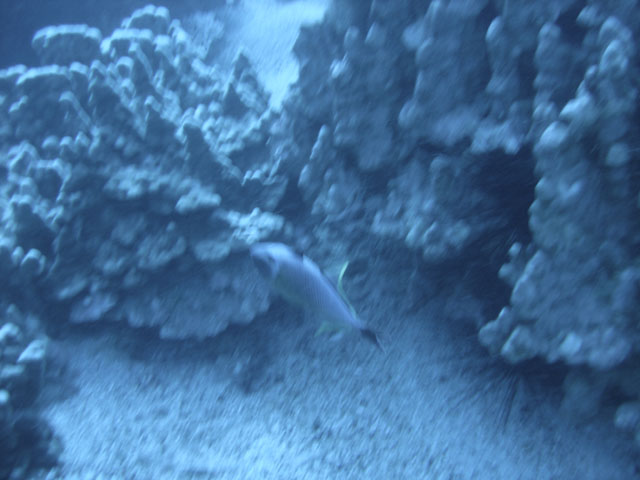 DSC00054