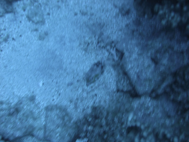 DSC00055