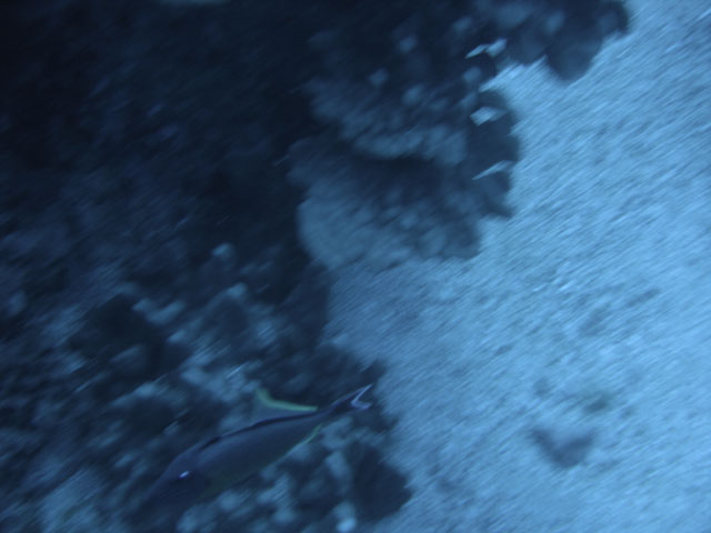 DSC00057