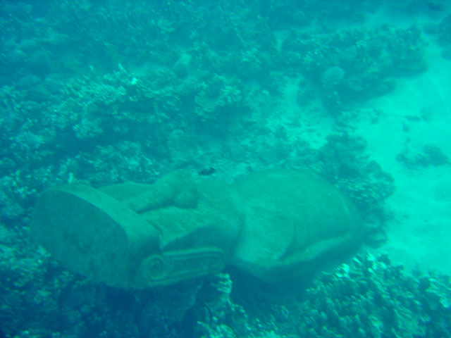 DSC00060
