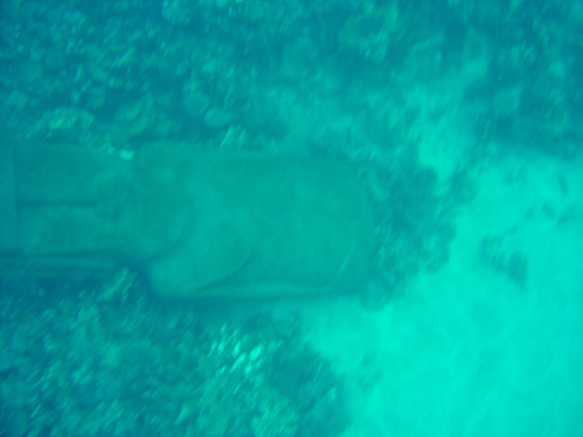 DSC00062
