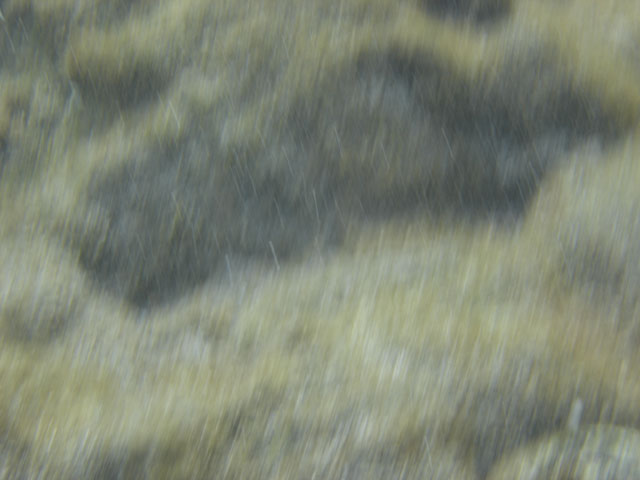DSC00078