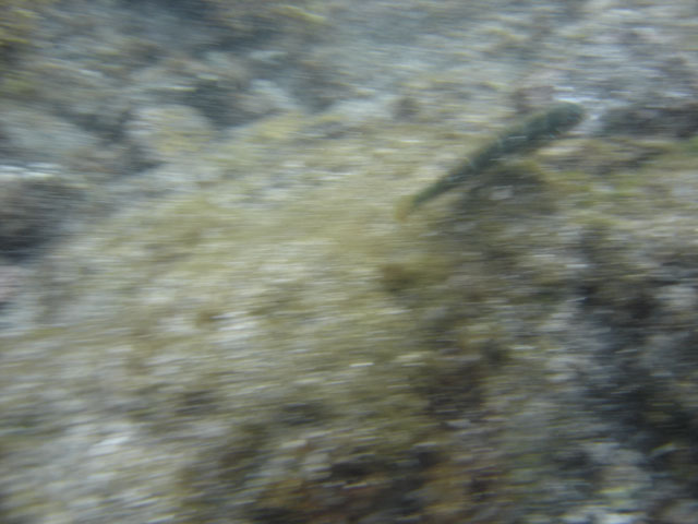 DSC00081