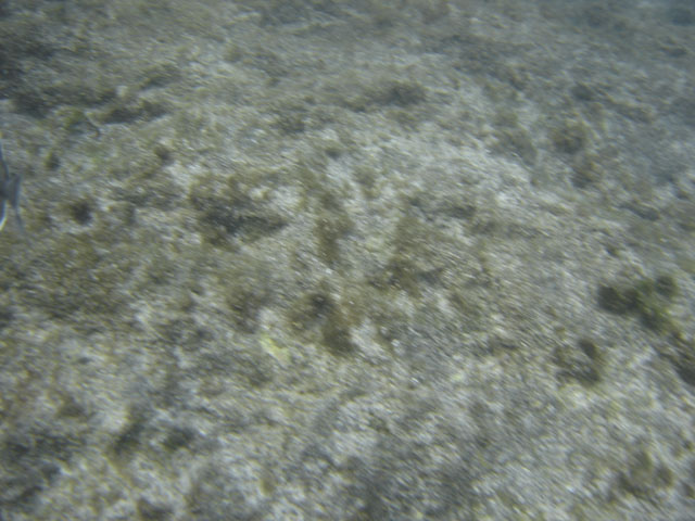 DSC00082