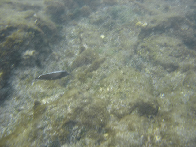 DSC00083