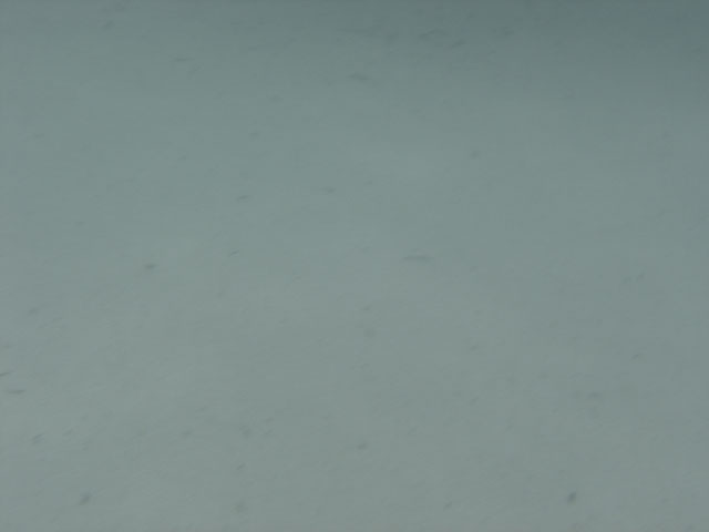 DSC00183