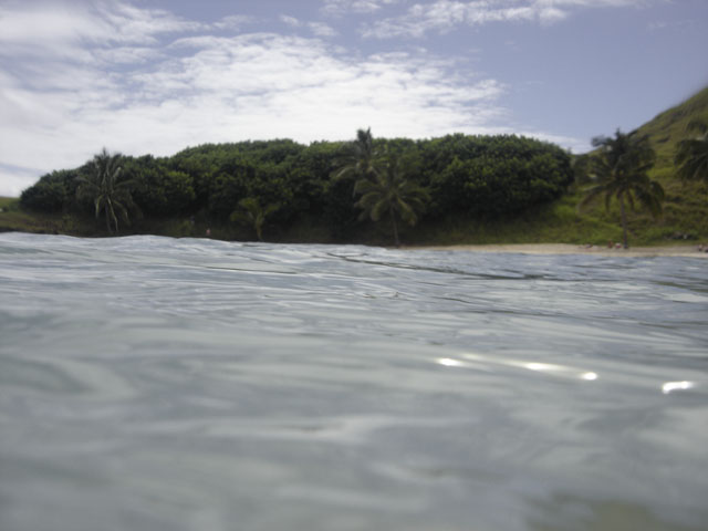 DSC00184