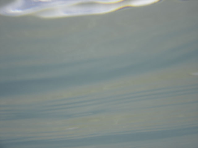 DSC00186