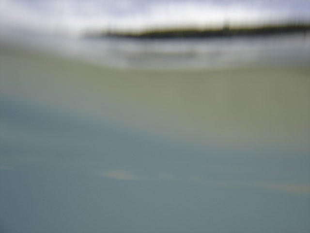 DSC00187