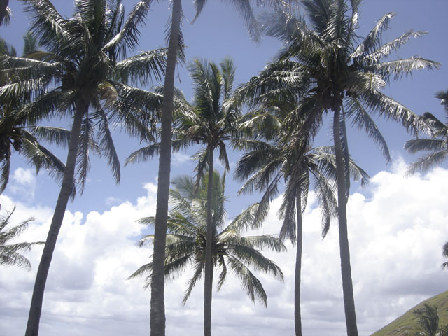 DSC00194
